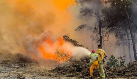 Türkiye’de bugün 67 yangın çıktı, 63'ü kontrol altında