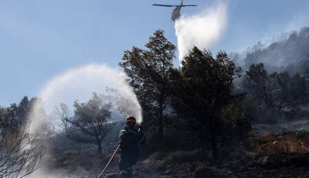 Avrupa, günlerdir devam eden orman yangınlarıyla mücadele ediyor