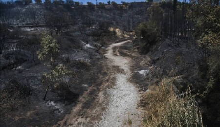Yunanistan'da bu yıl çıkan orman yangınlarında 470 bin dönümden fazla alan yandı