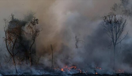 İtalya'da farklı noktalardaki orman yangınları hayatı olumsuz etkiledi