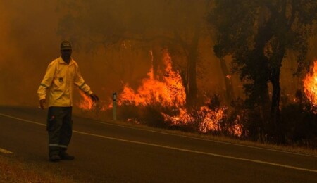 Fas'ta 12 hektarlık alanı yok eden orman yangını kontrol altına alınmaya çalışılıyor
