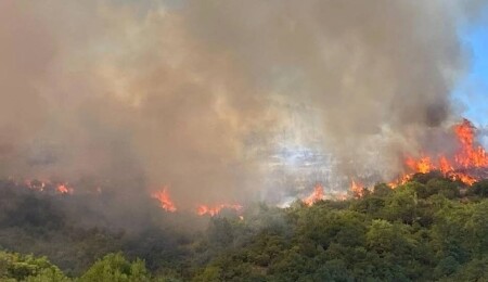 İzmir Çeşme'de orman yangını: Üç mahalle tahliye edildi
