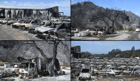Yunanistan'da son günlerde çıkan orman yangınlarından yaklaşık 100 bin dönüm alan etkilendi