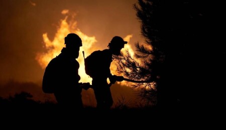 Türkiye'de yangınlarla mücadele için "Risk Yönetim Ekibi" oluşturuldu