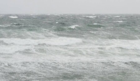 Pasifik Okyanusu'nda etkili olan Iona Kasırgası "Kategori 3" şiddetine ulaştı