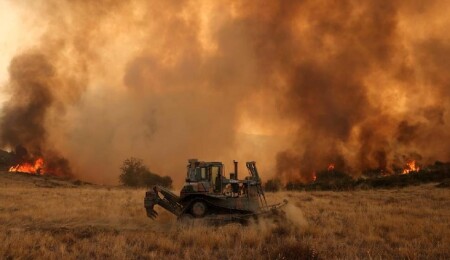 Yunanistan'ın Mora Yarımadası'nda orman yangını: Bir köy tahliye edildi