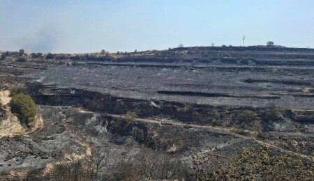 Limasol'daki yangın büyük ölçüde kontrol altına alındı!