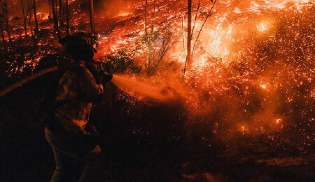 Japonya'nın Iwate eyaletindeki orman yangınlarını söndürme çalışmaları ikinci gününde devam ediyor