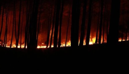Fransa'nın Landes vilayetindeki orman yangınında 1580 hektarlık alan küle döndü