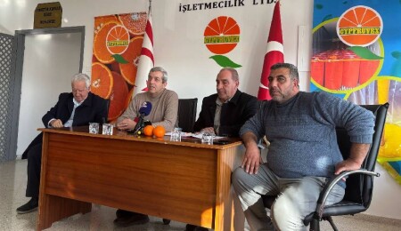 Narenciye ürün alım bedellerinin taban fiyatları açıklandı