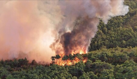 İran, şiddetlenen orman yangınlarına müdahale için uluslararası yardım çağrısında bulundu