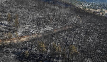 Hatay'daki orman yangınında zarar gören alanlar dronla görüntülendi
