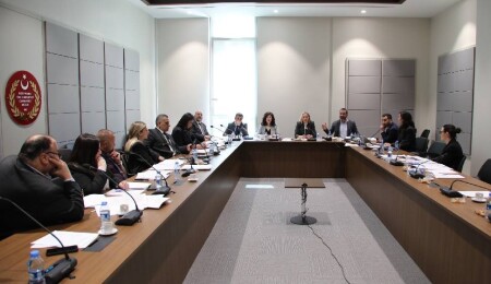 Hukuk, Siyasi İşler, Dışilişkiler ve Savunma Komitesi, Ceza (Değişiklik) Yasa Tasarısı’nı görüştü