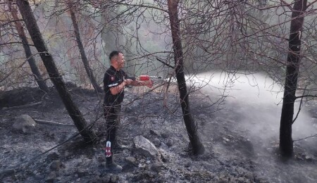 Serdarlı'daki orman yangınında 30 dönüm alan zarar gördü