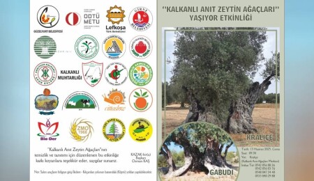 “Kalkanlı Anıt Zeytin Ağaçları Yaşıyor” etkinliği 13 Haziran’da düzenlenecek