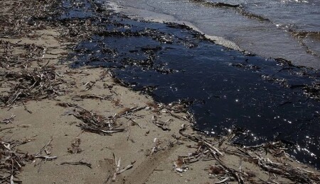 Güney Kıbrıs, kalıntıları Oroklini sahiline ulaşan petrol kirliliği için harekete geçti