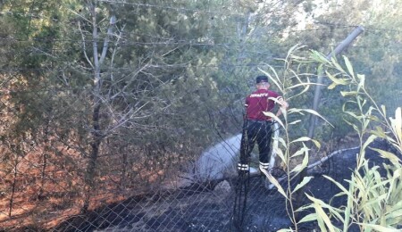 Fires in Alayköy, Famagusta and Gaziler Cause Property Damage