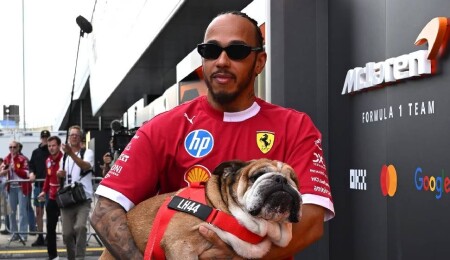Köpeği hasta olan Lewis Hamilton Pirelli lastik testinden çekildi