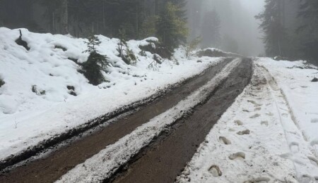 Temperature to Drop to 15°C, Storm Continues