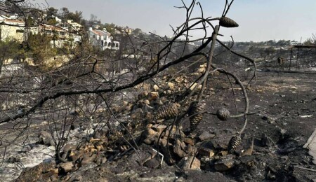 Rum İtfaiye Şefi Longinos: Limasol'da bir kişi araçtan inerek üç noktada yangın çıkardı!