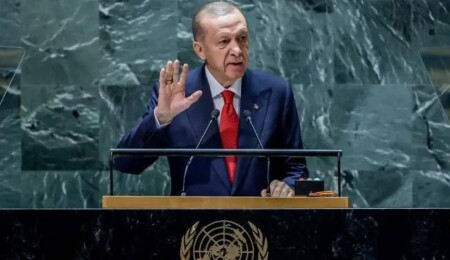 Turkey calls for 'Democratic' UN Security Council Reform