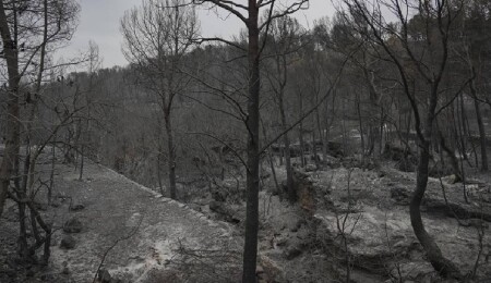 Portekiz ve İspanya orman yangınlarıyla mücadele ediyor