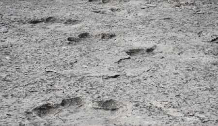 İtalya'da 200 milyon yıl öncesinden kaldığı düşünülen binlerce dinozor ayak izi keşfedildi