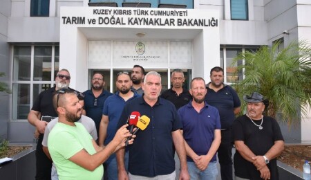 Hayvan üreticileri hükümete seslendi: Artık planlı üretim yapmak istiyoruz