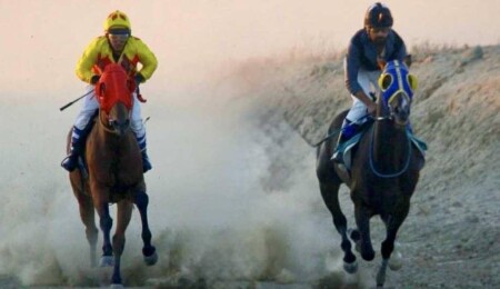 Soydan Petrol Kupası’nın sahibi “Royal Secret”