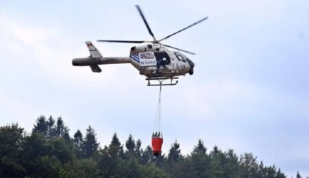 Belçika'daki büyük orman yangını 7. gününde kontrol altına alındı