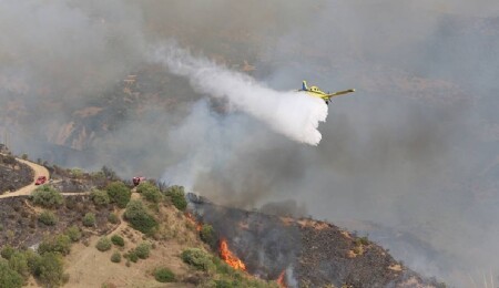 Cezayir’in 7 kentinde çıkan orman yangınlarını söndürme çalışmaları devam ediyor