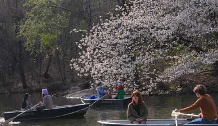 Mart 2026, dünyada kayıtlardaki en sıcak dördüncü mart ayı oldu