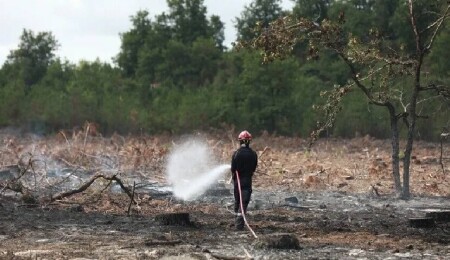 Fransa'nın Lozere vilayetinde ormanlık alanda çıkan yangında 250 hektarlık alan kül oldu