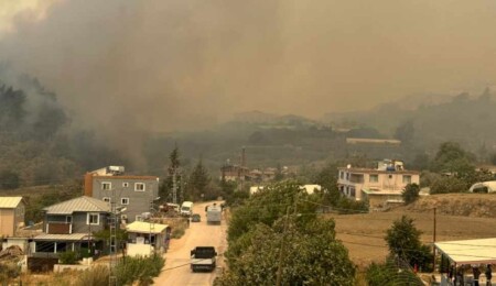 Hatay'da ormanlık alanda yangın çıktı