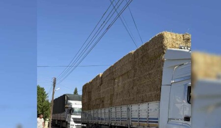 Filiz Besim: Ağır ve yüksek vasıtalar köy yollarında tehlike saçıyor