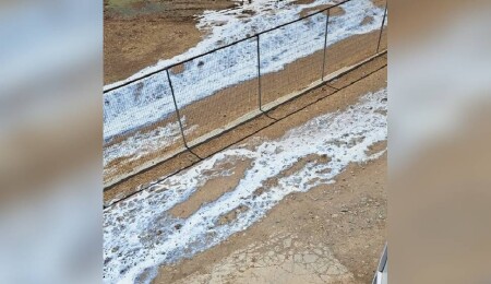 Sütleri döken üreticiden açıklama: Konunun SÜTEK ile alakası yok