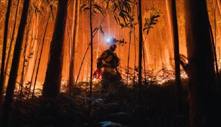 İspanya'da geçen yıla göre bu yıl 10 kat fazla ormanlık ve kırsal alan yandı