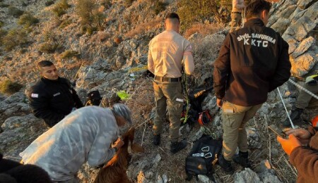 Dağda mahsur kalan keçi kurtarıldı