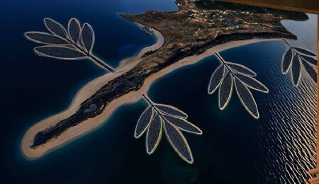 Yeşil Barış Hareketi: Kıbrıs’ın doğası ve geleceği sahte hayallere teslim edilemez