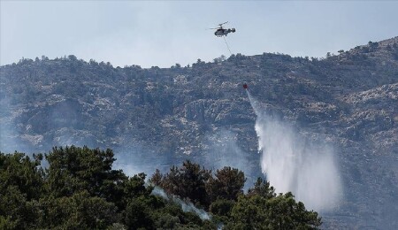 Yunanistan'da orman yangınları, itfaiye ekiplerini alarma geçirdi