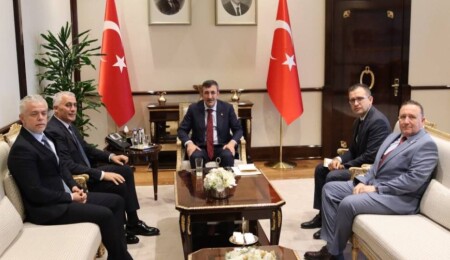 Türkiye Cumhurbaşkanı Yardımcısı Cevdet Yılmaz, Olgun Amcaoğlu'nu kabul etti