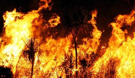 Ülke genelinde 4 ayrı yangın: Ölüm ve yaralanma yok, maddi hasar oluştu