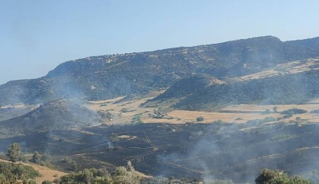 Avtepe-Kuruova köyleri arasındaki yangında yaklaşık 400 dönümlük alan zarar gördü