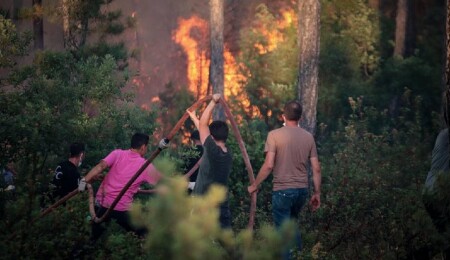 Türkiye’de orman yangınları: Bursa yangınlarında dört kişi hayatını kaybetti
