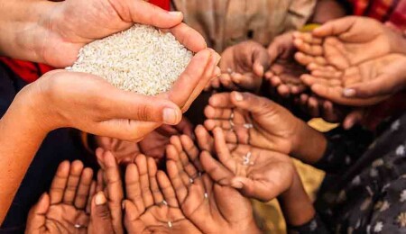 DSÖ, günde 1,6 milyon kişinin güvenli olmayan gıda nedeniyle hastalandığını bildirdi