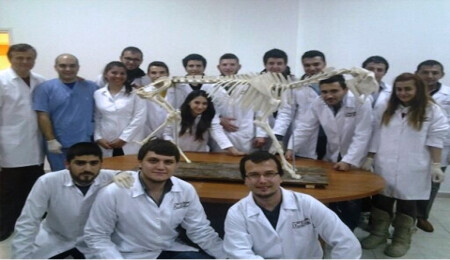 KKTC'de ilk ve tek YDÜ Veteriner Fakültesi, yeni eğitim yılına hazır