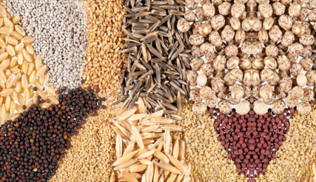 Yeniboğaziçi ve Geçitkale'de yarın tohum takas etkinliği düzenleniyor