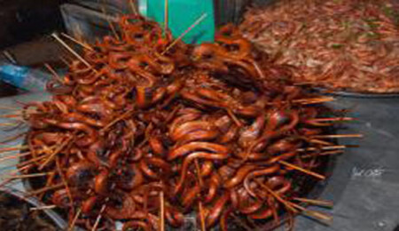 Güzellik ve sağlık için "şiş yılan" yiyorlar