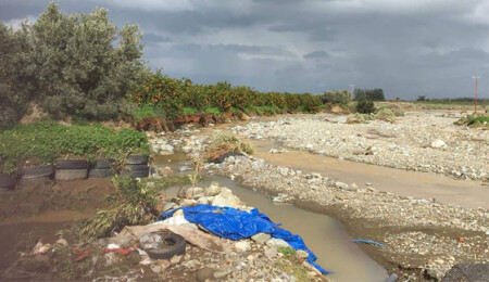 Yüzlerce ağaç yerle bir oldu!