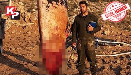 Taşkent Doğa Parkı, karaya vuran yunusun gelişigüzel gömülmesine müsaade etmedi